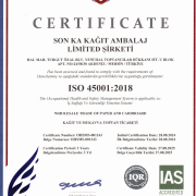 ISO 45001 2018